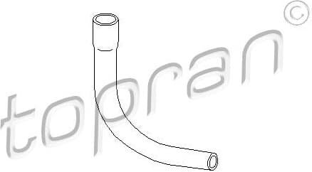 Hose, cylinder head cover ventilation 206 557