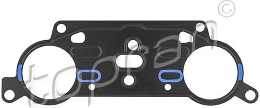Gasket, timing case 113 283