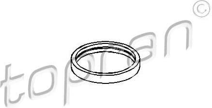 Seal, thermostat 302 261