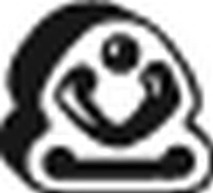 Mount, exhaust system 255-133