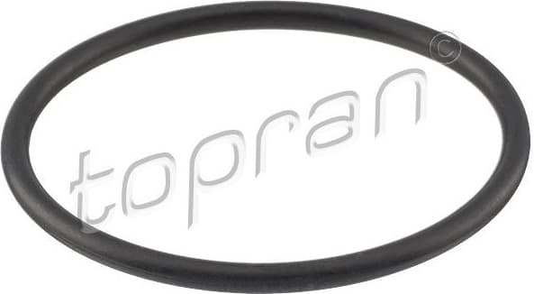 Gasket, fuel pump 100 576
