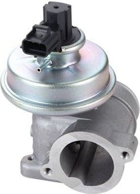 EGR Valve 571822112109