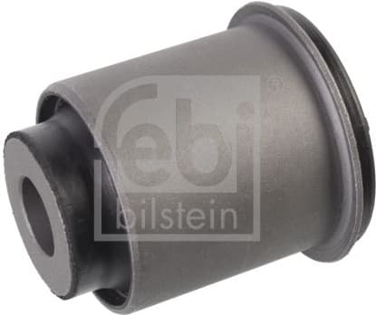 Mounting, control/trailing arm 107157