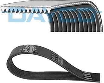 V-ribbed Belt 12PK1865HD