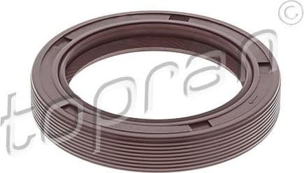 Shaft Seal, crankshaft 500 760