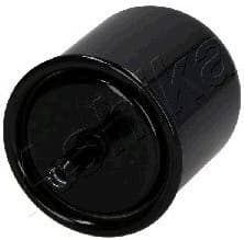 Fuel Filter 30-01-111