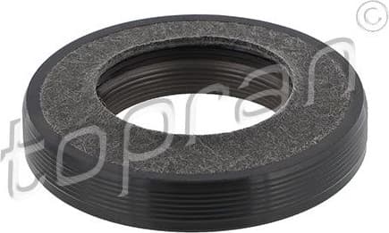 Shaft Seal, camshaft 700 483