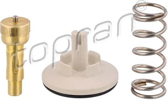 Thermostat, coolant 113 287