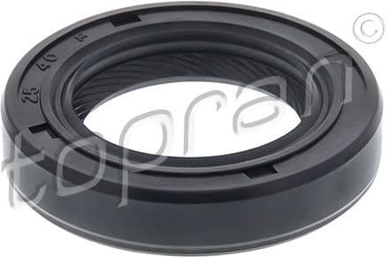 Shaft Seal, drive shaft 100 059