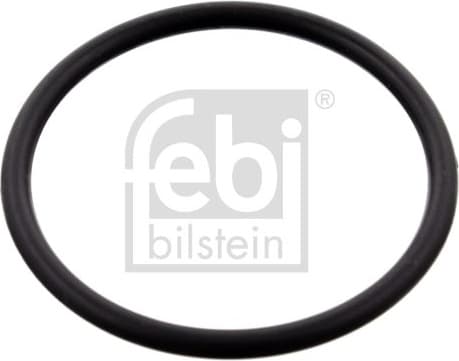 Gasket, thermostat housing 100077