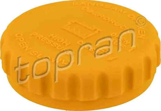 Cap, coolant tank 202 261