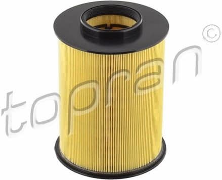 Air Filter 302 818