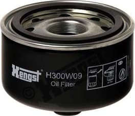 Oil Filter H300W09