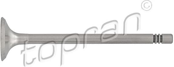Exhaust Valve 108 021