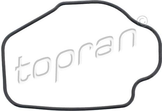 Seal, thermostat 202 330