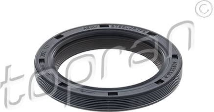 Shaft Seal, crankshaft 302 171