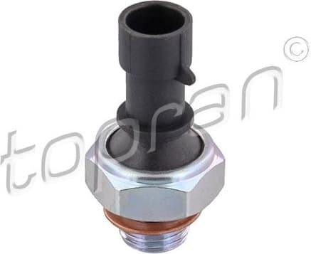 Oil Pressure Switch 205 418