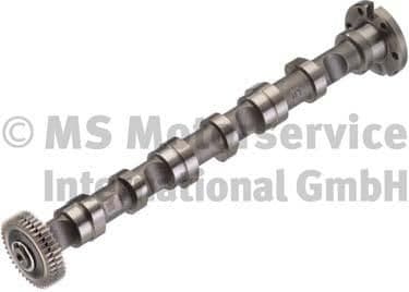 Camshaft 50007004