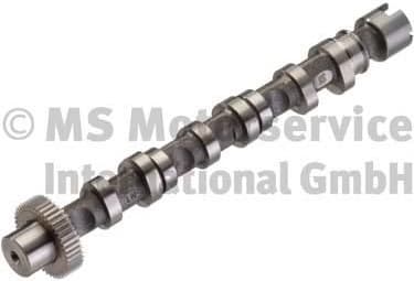 Camshaft 50007005