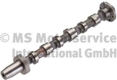 Camshaft 50007006