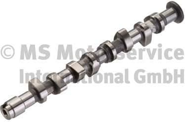 Camshaft 50006381