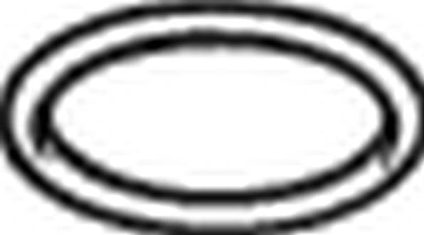 Gasket, exhaust pipe 256-170