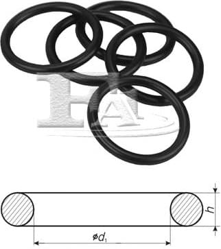 Seal Ring 244.850.100