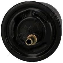 Fuel Filter 30-05-520