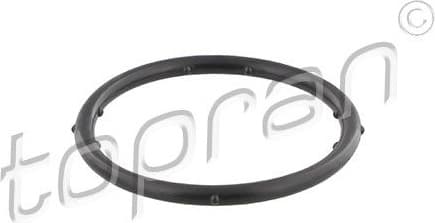Gasket, coolant flange 100 721