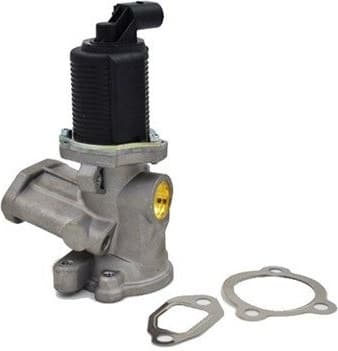 EGR Valve 571822112003