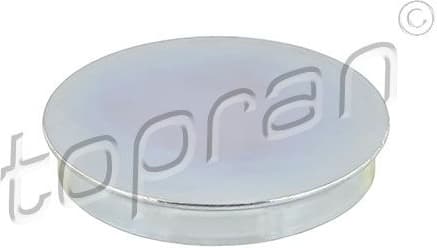 Protection Lid, wheel hub 111 316