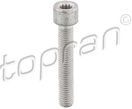 Bolt, drive shaft flange 104 306