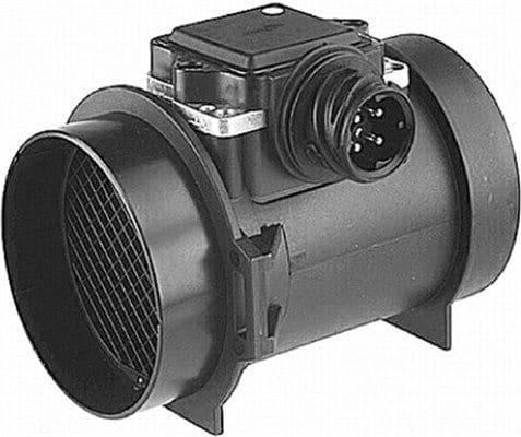 Mass Air Flow Sensor 213719666019