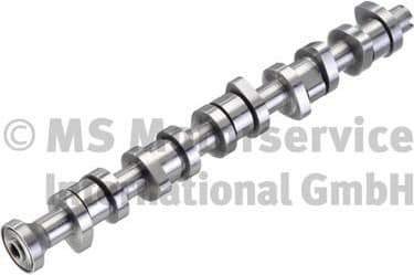 Camshaft 50006110