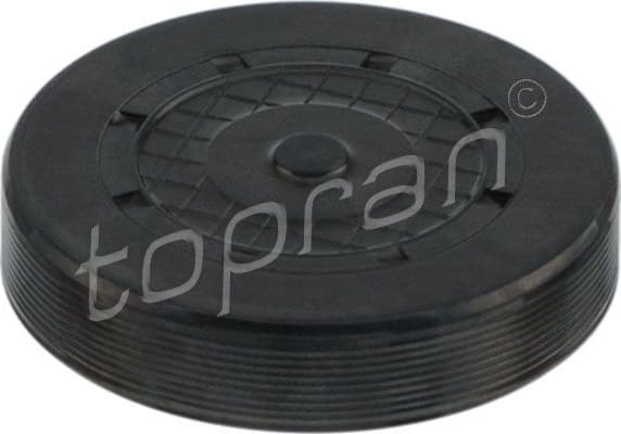 Plug, rocker arm shaft mounting bore 700 144