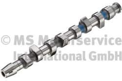 Camshaft 50006202