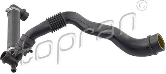 Hose, cylinder head cover ventilation 117 340