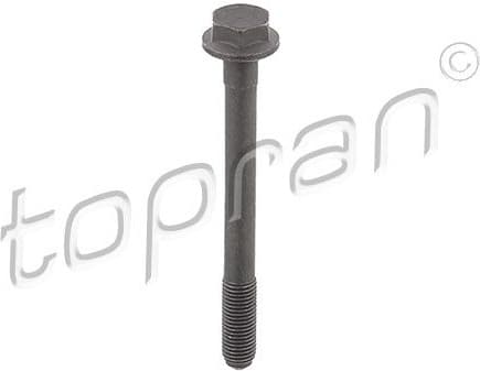 Screw 109 779