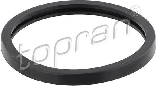 Seal, thermostat 202 325