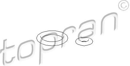 Seal Ring Set, injection valve 101 562