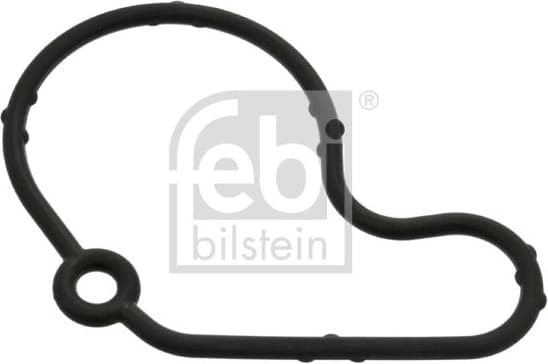 Gasket, vacuum pump 100797
