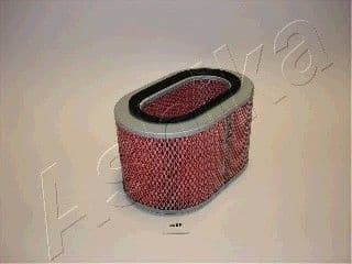 Air Filter 20-05-508