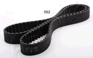 Timing Belt 40-05-592