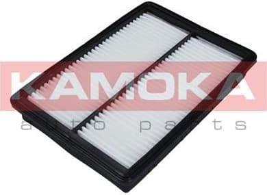 Air Filter F238901