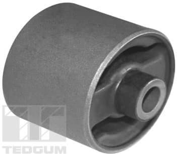 Mounting, differential 01160782