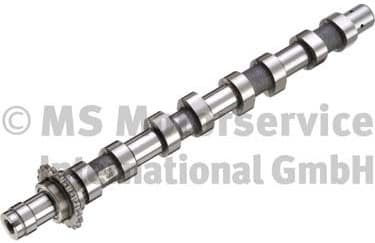 Camshaft 50007093