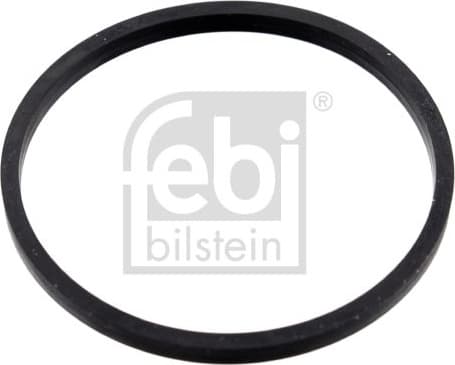 Seal, thermostat 100055