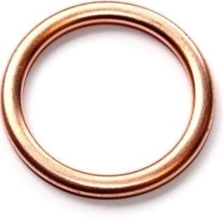 Seal Ring 813.109