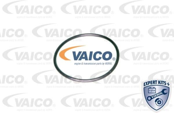 Hydraulic Filter, automatic transmission EXPERT KITS + V100440 - image 2