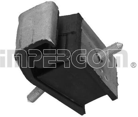 variklio montavimas 30318